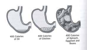 calorie-density | Gastric Sleeve Surgery in Mexico with Dr Kuri