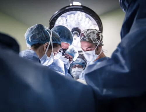 New Study Shows Gastric Sleeve Surgery May Protect Kidney Health Better Than GLP-1 Medications